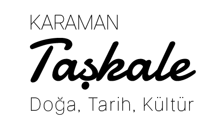 loader